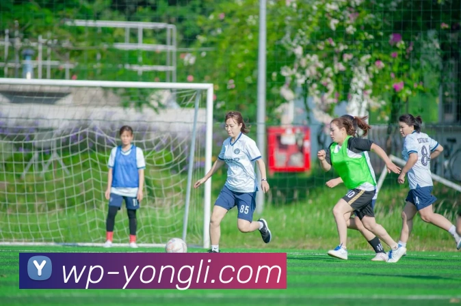 永利皇宫官网平台生态图